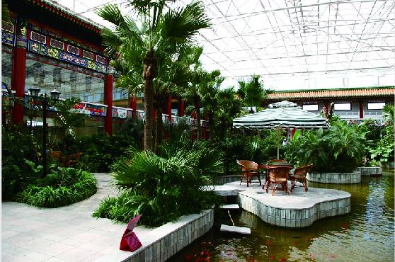 长寿老人的心理特征