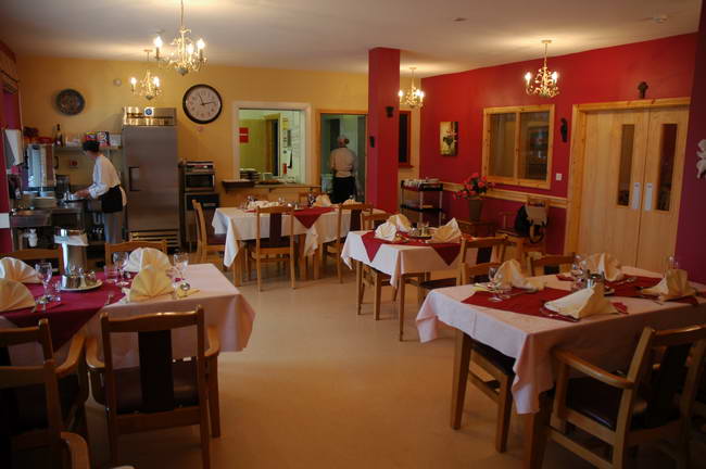 美国流行苹果醋养生