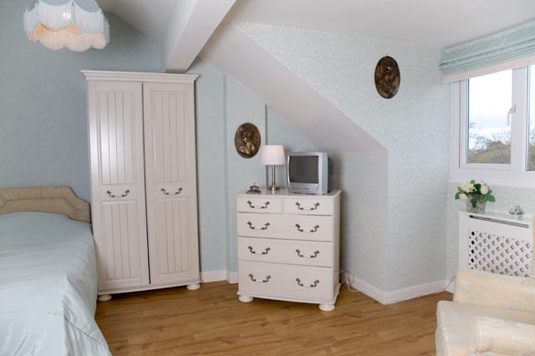 初秋多吃葡萄能排毒