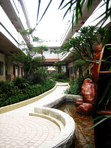 萝卜配大枣更健脾