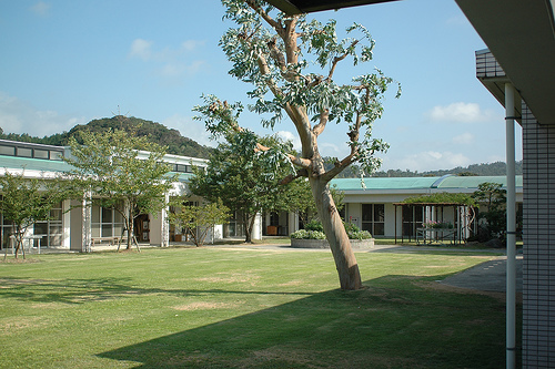 秋季如何摆脱三个苦恼