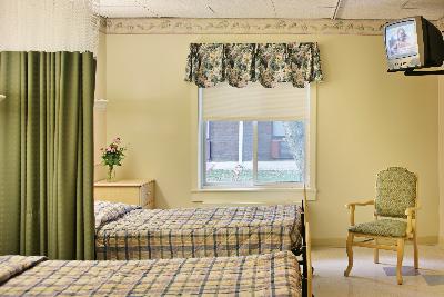 一个枕头真菌数量超过百万