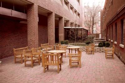 教你识别最易被商家掺毒的食物