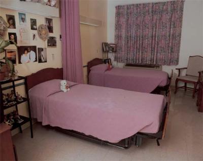 秋天别让室内盆栽毁了健康