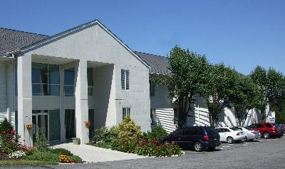 12星座的健康食谱