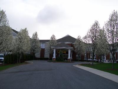 秋季护肤常吃三文鱼