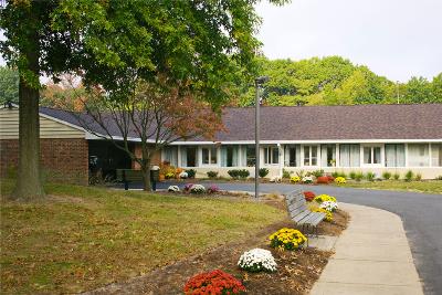 活得“孩子气”一点