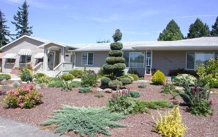 可防老年痴呆6类食物