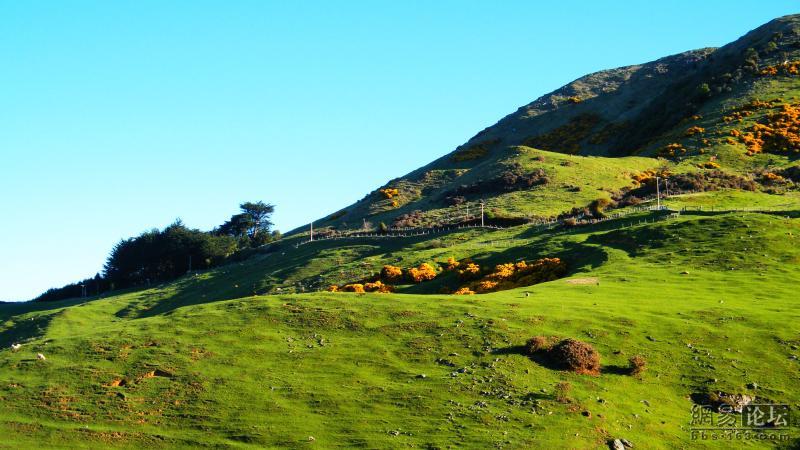 口腔肿瘤病患的存活率