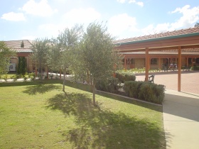 中医学健康观指导养生