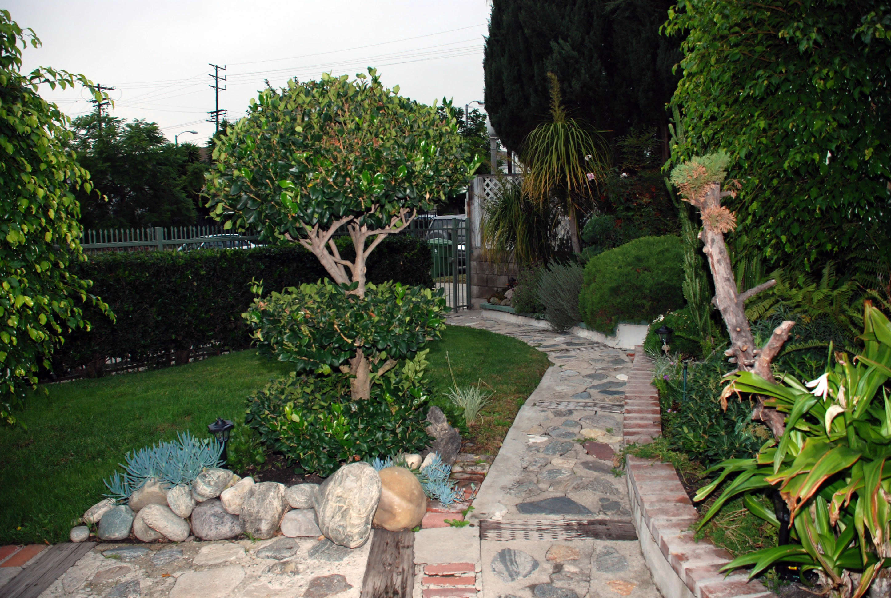 增强记忆力要喝下午茶