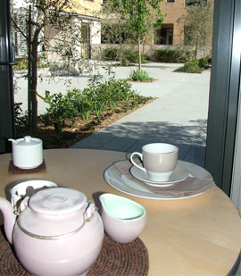 吃“素”5年招致阳痿！