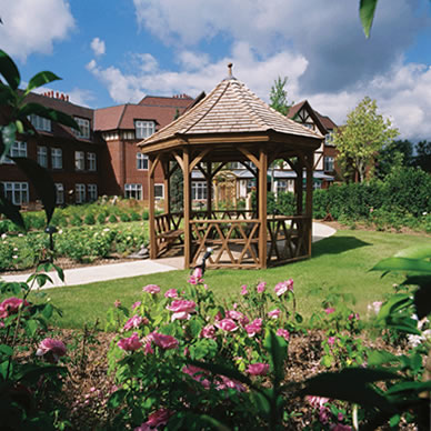 争“蜂”吃醋 女人养生之道