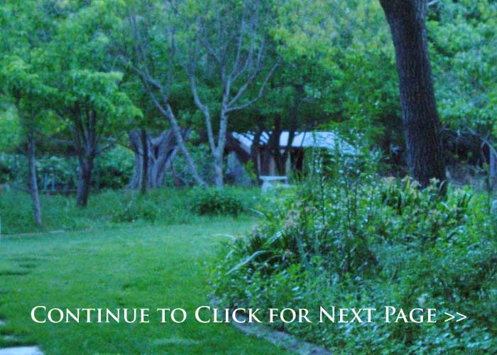 延年益寿十大心法