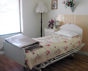 老人长寿秘诀就是进补