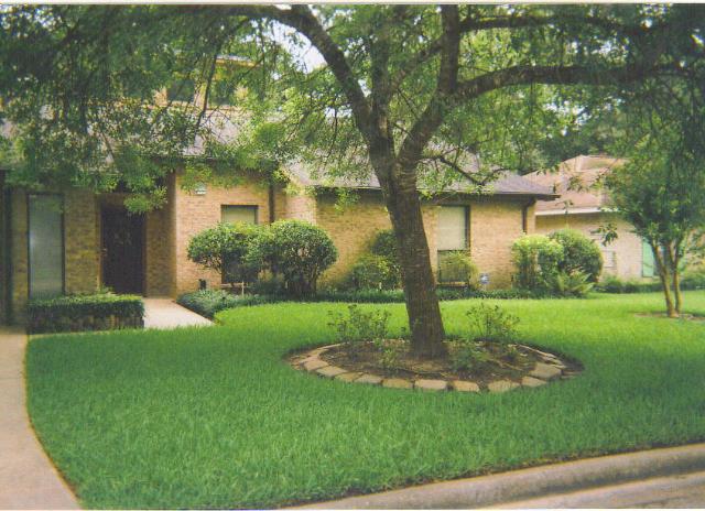 除辐射手机其他副作用