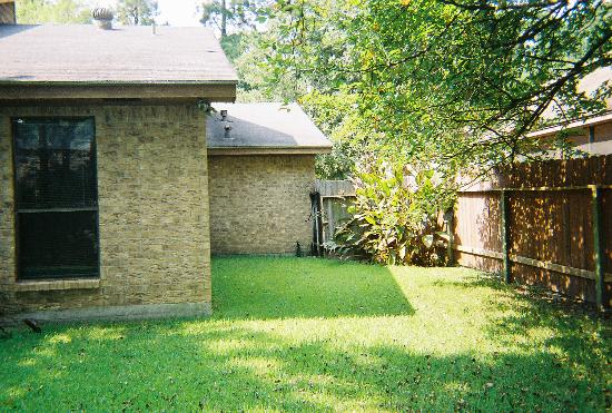 冬季萝卜上市太医无事