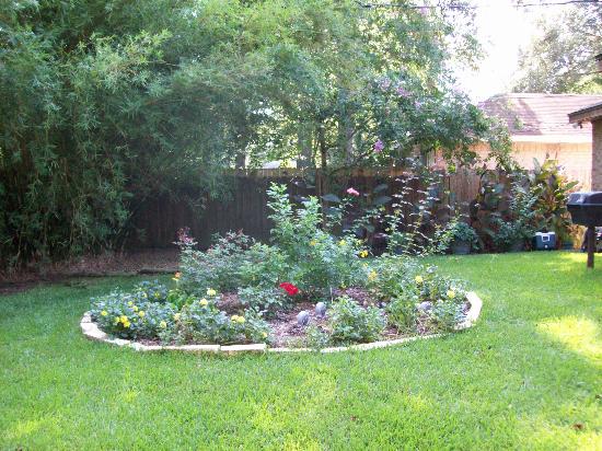 黄芪泡茶防感冒最简法