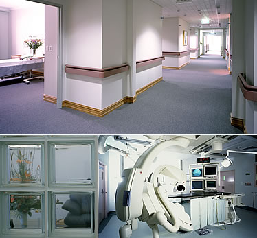 街边美食冰糖葫芦也养生