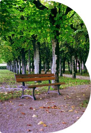 冬季进补 你是什么体质