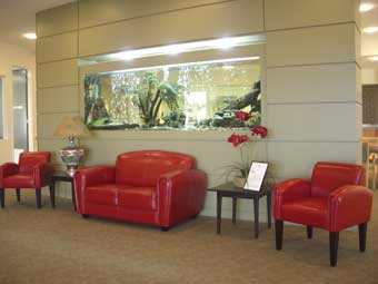 最佳饮食搭档保男人健康