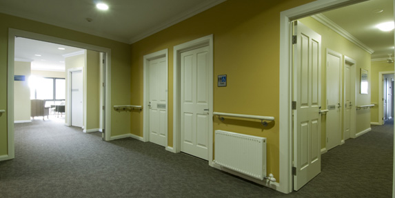 养血不怕冷 羊肉龙眼补血