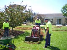 鸡蛋壳的十一个妙用