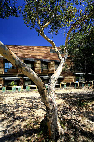 被叫醒的严重危害!