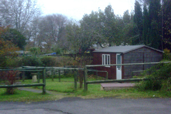 白领男人发福不是福