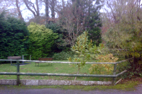 情志失调易损伤脏腑气血