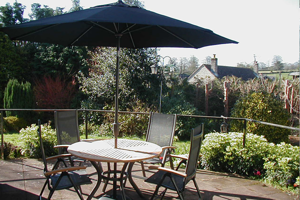 倒春寒 健康饮食增强体质