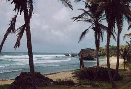 夏日暑湿重 常喝藿香粥