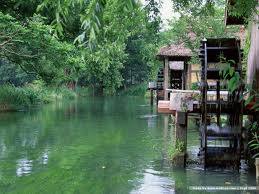 夏季养生粥 让你气色红润