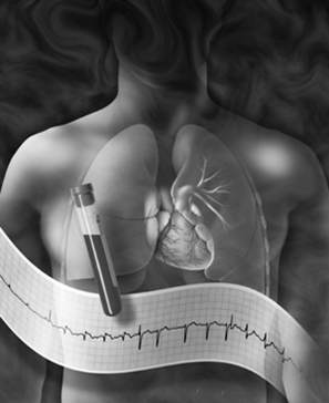 荷兰研究:适量茶与咖啡 降低心脏病风险