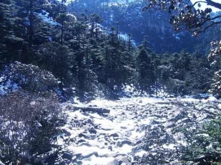 科学家发现千年冰川细菌可助人类活到140岁