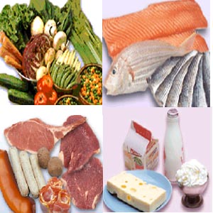 不同味的食物有啥营养?