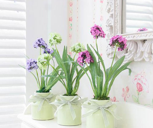 屋内最好别养太多花