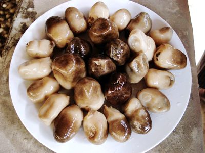 夏季养生食物推荐