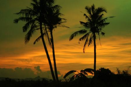 “桑拿天”完全保健手册