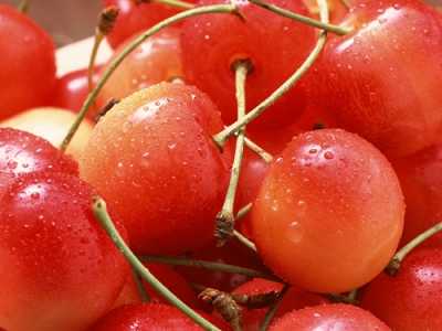 夏季养生 如何选用食物?