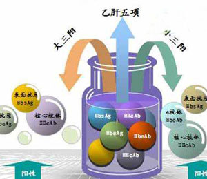 大三阳和小三阳是什么意思？