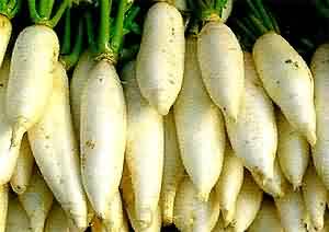 萝卜食疗方：每日榨汁饮用可助降血压