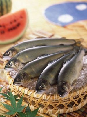 小心生活中潜伏的5种害虫