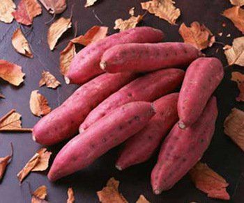 秋季常食红薯减肥排毒防止便秘