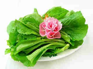 清新去体味的榜样食品