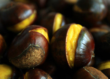 栗子适宜冬季进补 护心美味