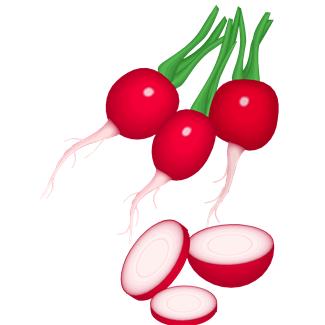 冬季养生多吃4类白色食物