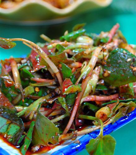 空腹食用鱼腥草有助治疗结肠炎