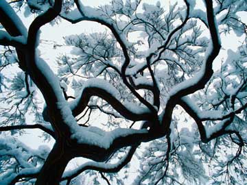 下雪天的保健攻略