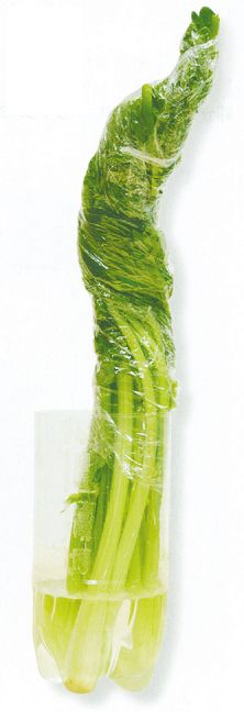 菜帮菜蒂容易积农药